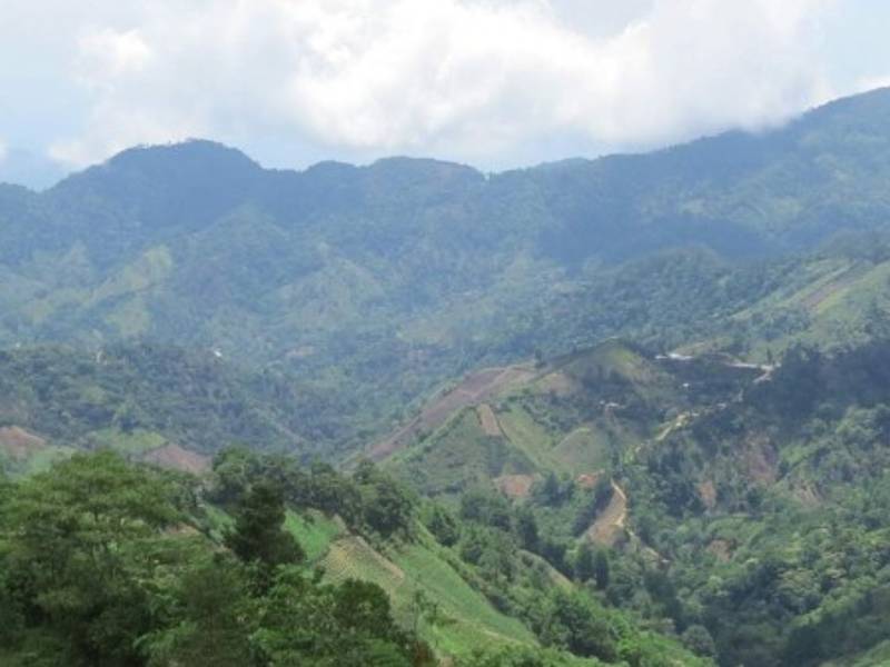 El parque nacional Cusuco está siendo objeto de investigación por organizaciones extranjeras también.