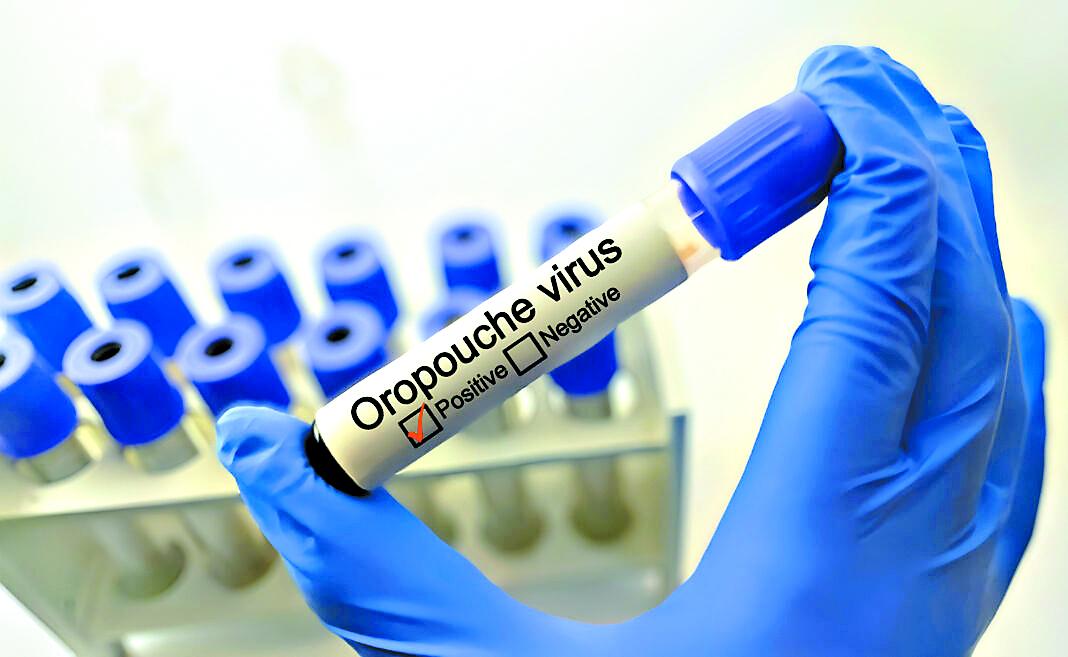 Decretan alerta por el virus de oropouche en América del Sur y Cuba