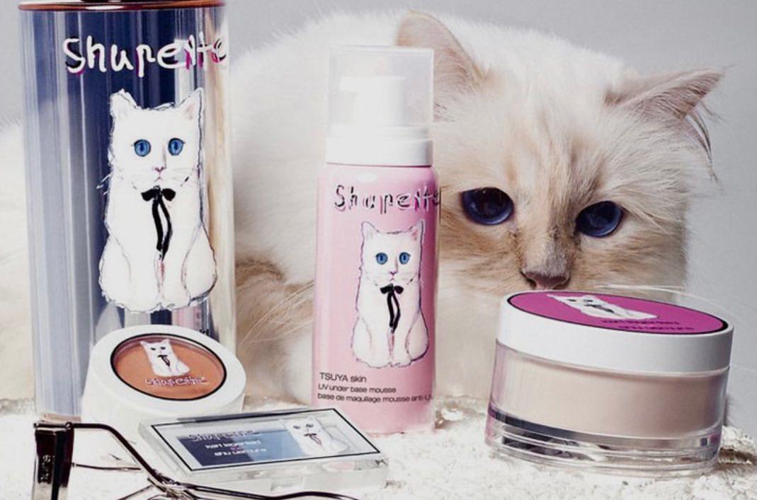 Choupette, modelando junto a su colección japonesa.