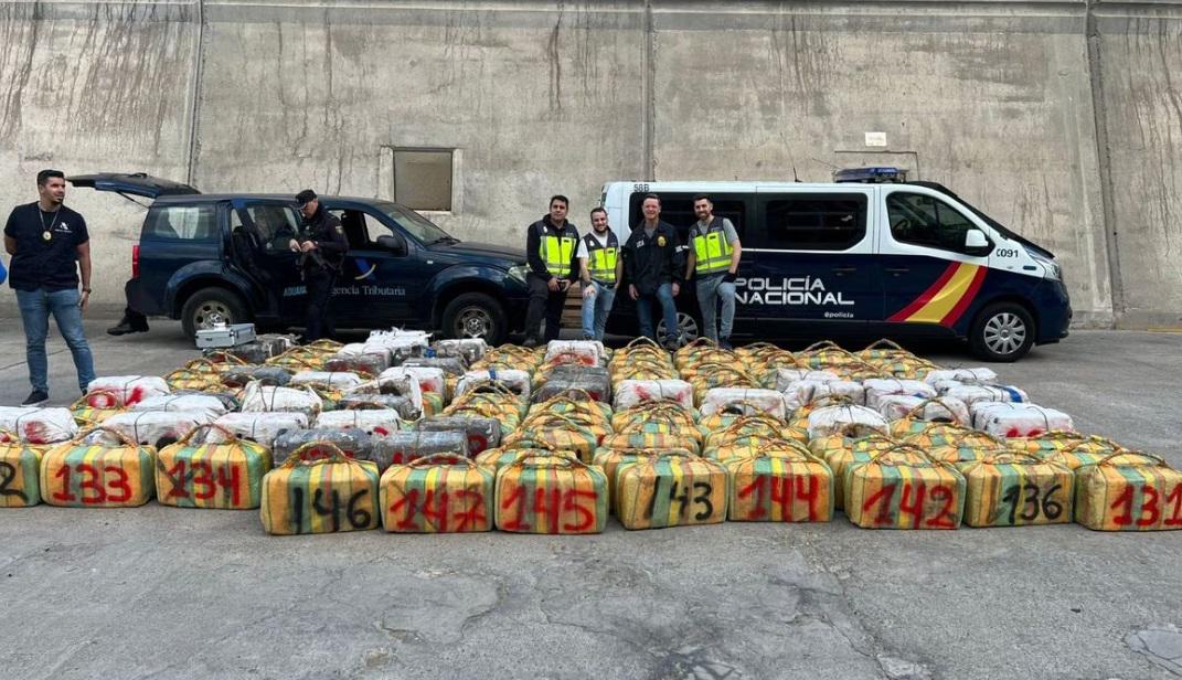 Narcovacas, el cargamento de ganado de Colombia que ocultaba 4,5 tonelada de droga