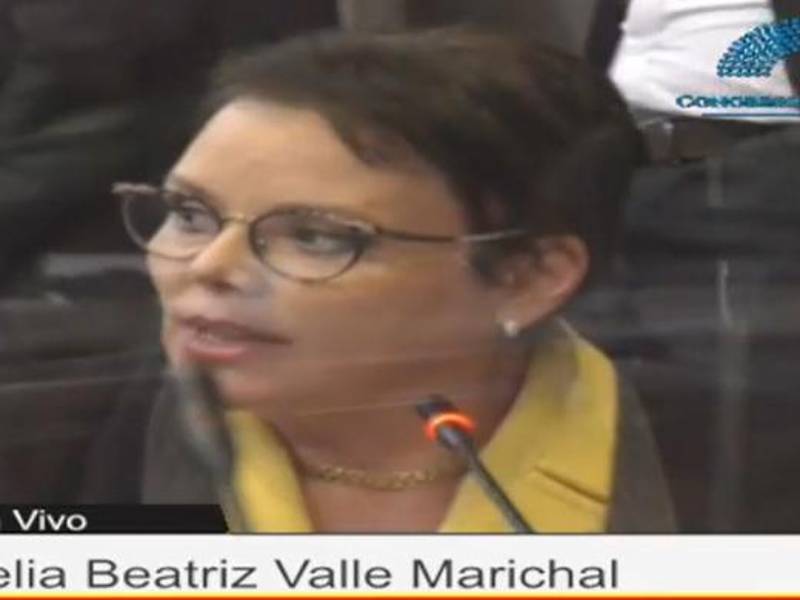 La diputada Beatriz Valle.