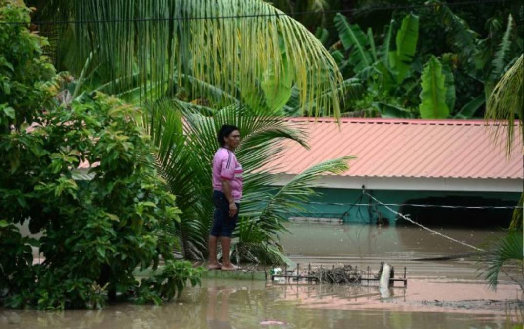 El NHC ha emitido una advertencia de tormenta tropical para las islas Caimán, a las que Eta se aproximará este sábado, así como para las provincias cubanas de Camagüey, Ciego de Ávila, Sancti Spíritus, Villa Clara, Cienfuegos y Matanzas.