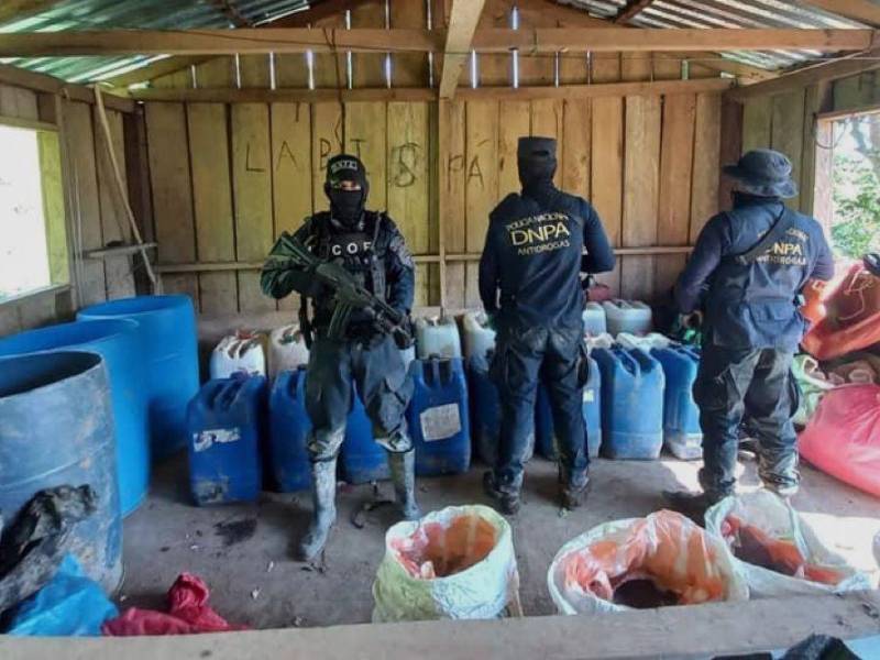 Preliminarmente, se conoció que el cultivo del alucinógeno estaría vinculado a la estructura criminal de los “Montes Bobadilla”, que estarían operando en la zona.