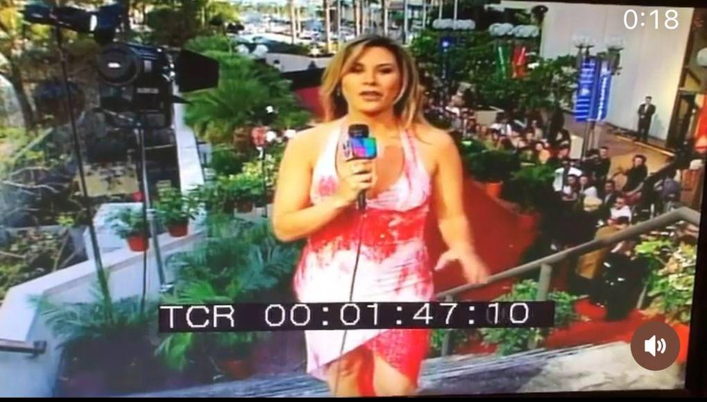 A la periodista y productora “le sobreviven un hijo y una hija” que este viernes “celebrarán en la Ciudad de Miami una ceremonia de recordación”.