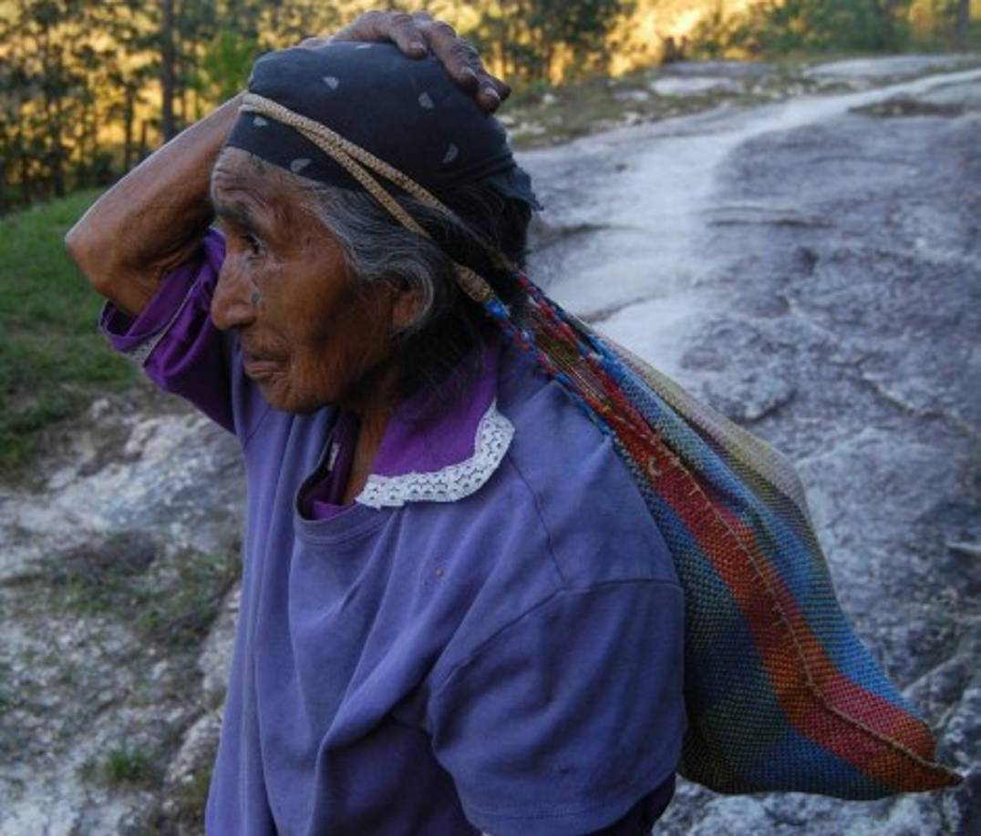 En todo el territorio hondureño hay 300 mil descendientes indígenas, según el INE.