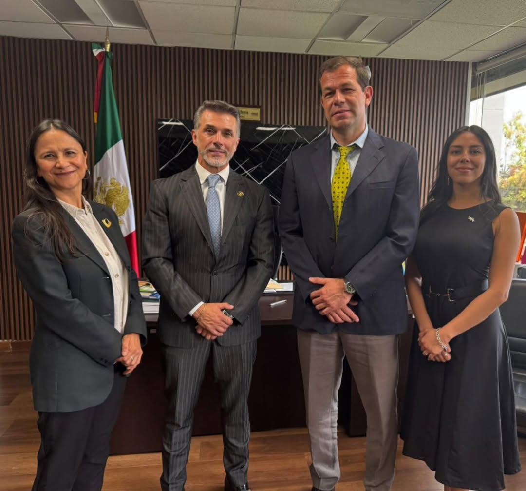 ¿Por qué Morena expulsó a Sergio Mayer pese a su renuncia?