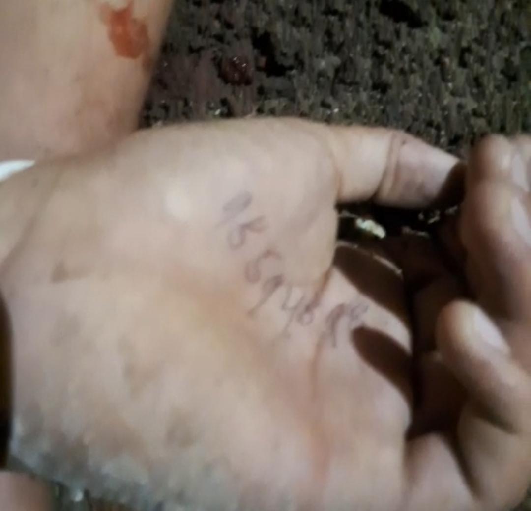 Identifican a jóvenes hallados muertos y torturados en La Ceiba