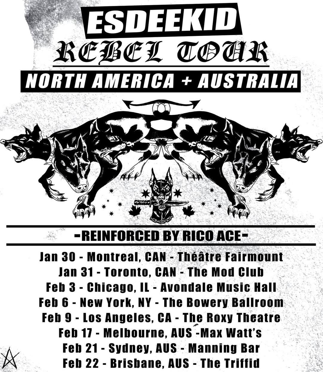 ¿Es Timothée Chalamet el misterioso rapero EsDeeKid?