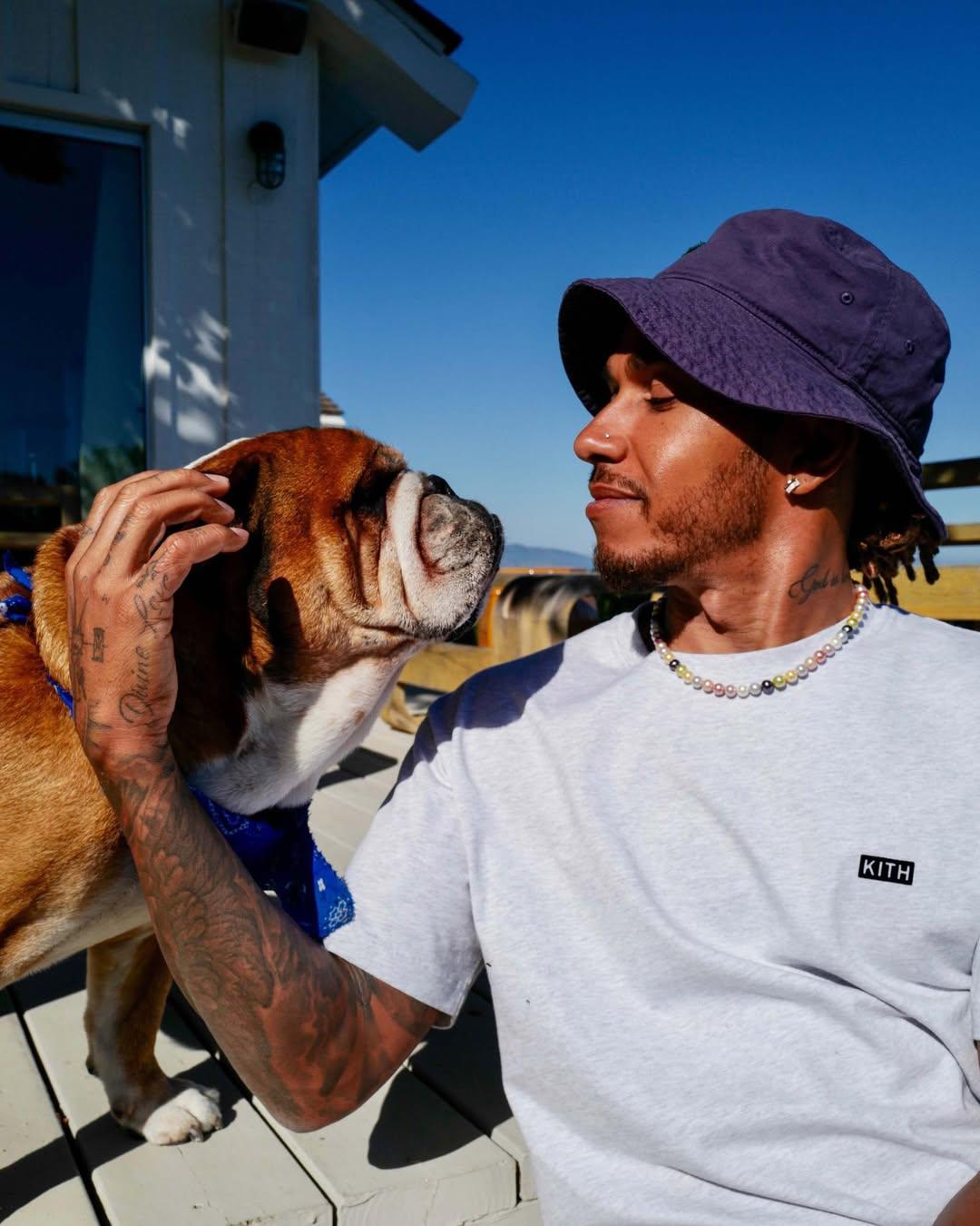 Roscoe, el bulldog de Lewis Hamilton, hospitalizado de urgencia