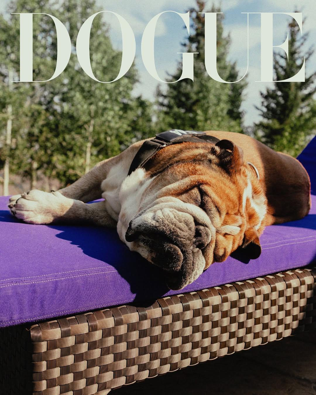 Roscoe, el bulldog de Lewis Hamilton, hospitalizado de urgencia