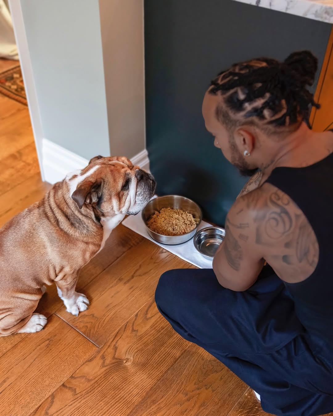 Roscoe, el bulldog de Lewis Hamilton, hospitalizado de urgencia