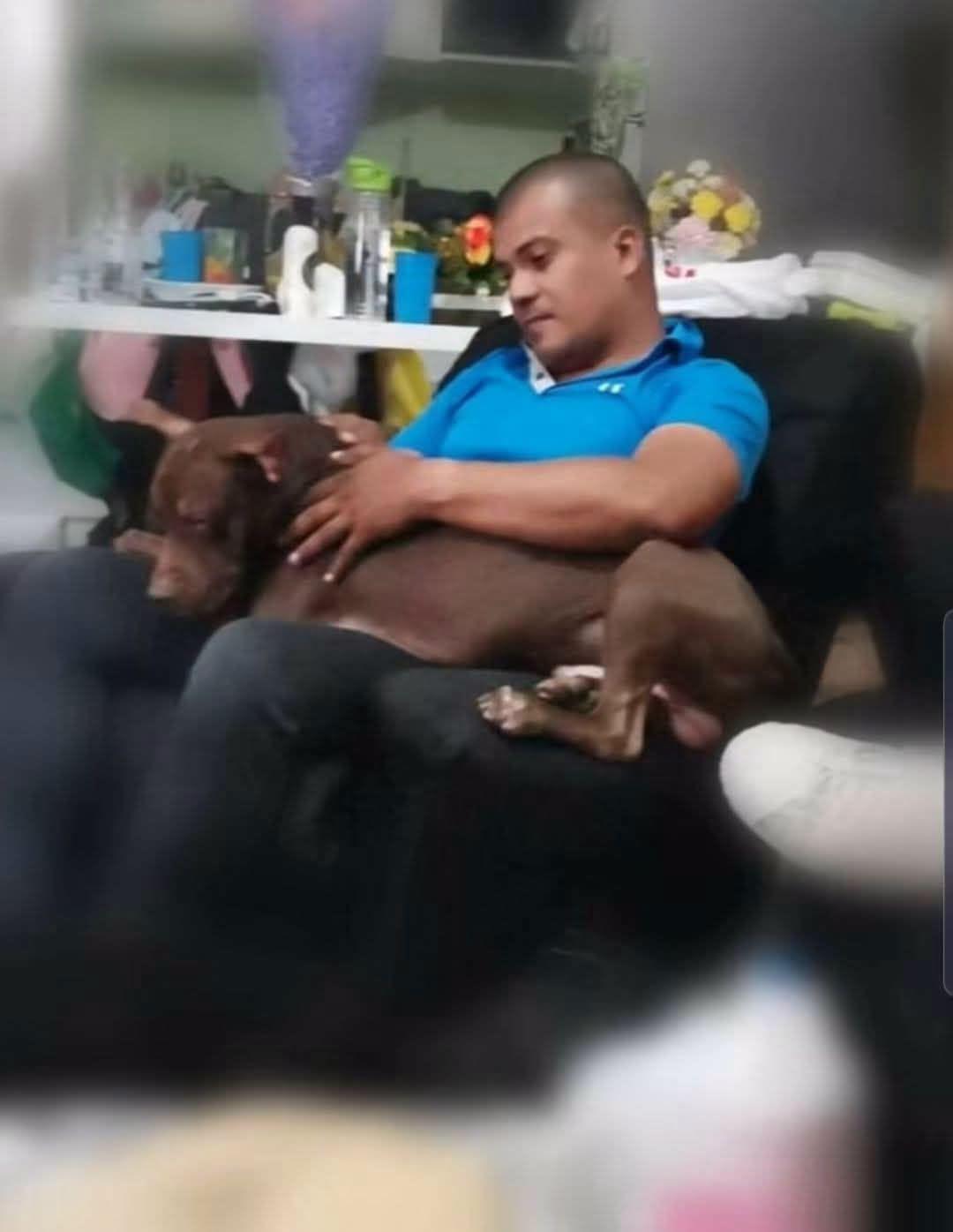 Zeus, perro que mató a su dueño, halló adoptante en Tegucigalpa