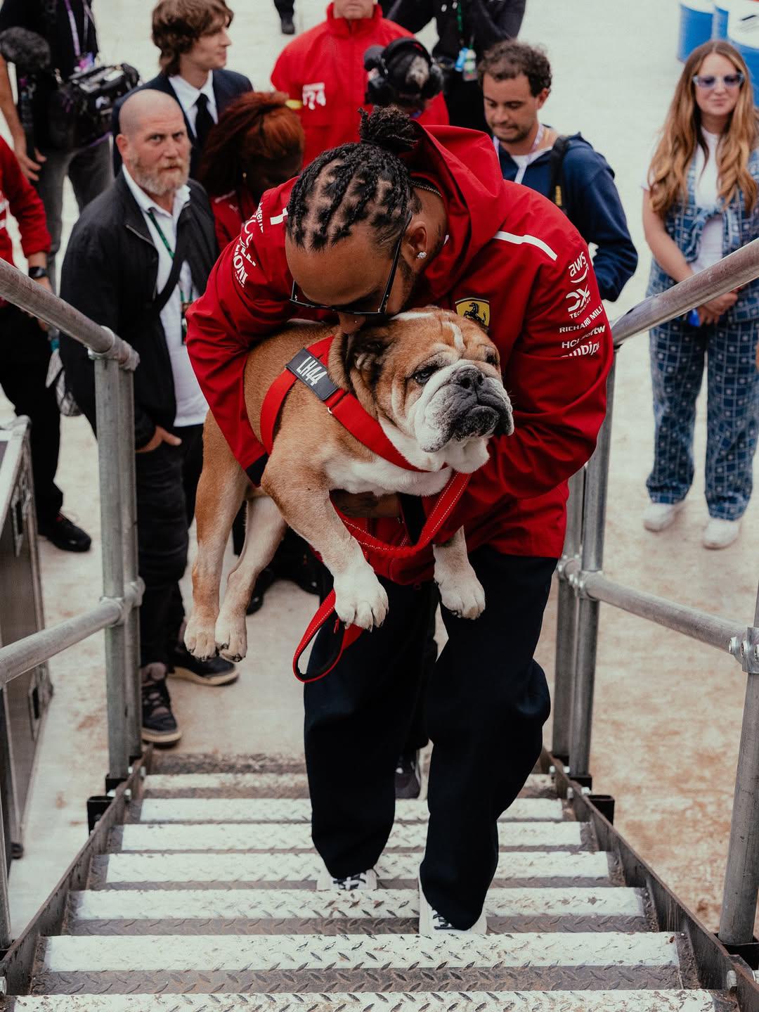 Roscoe, el bulldog de Lewis Hamilton, hospitalizado de urgencia