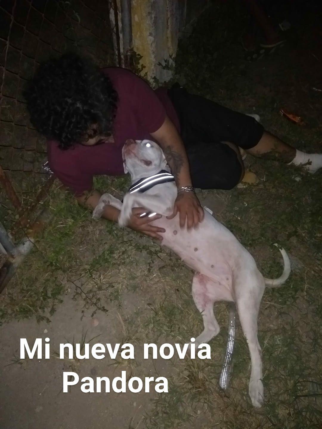 ¿Quién era El Rasta, tatuador asesinado en la colonia El Roble de San Pedro Sula?