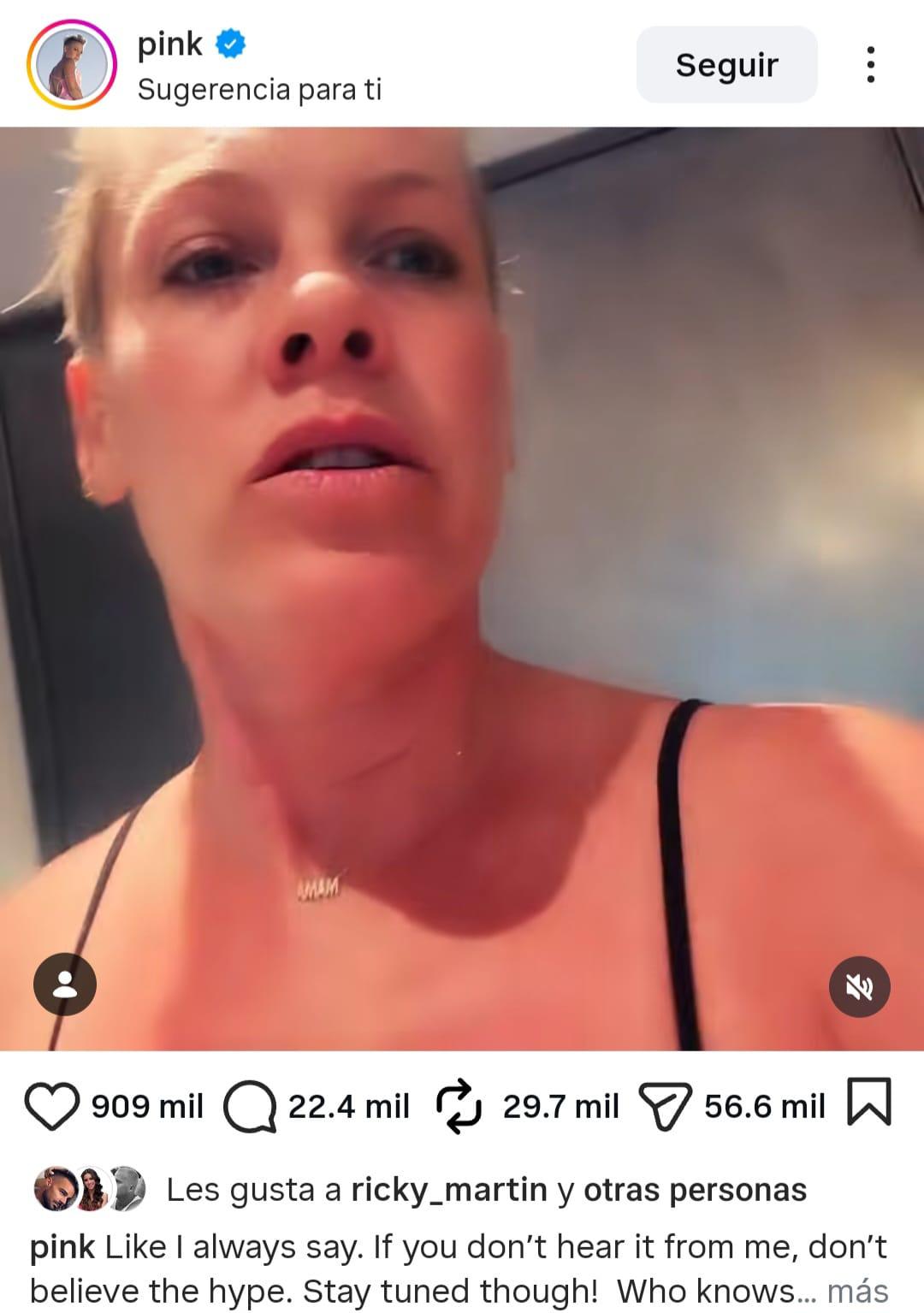 Pink niega rumores de divorcio con Carey Hart