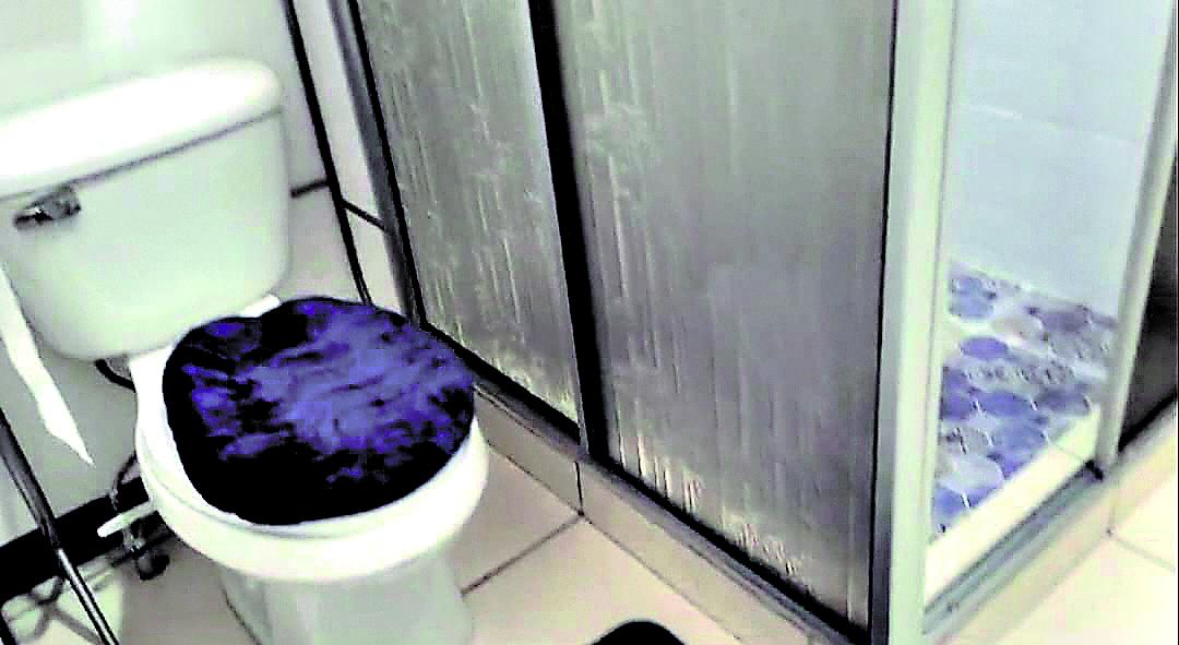 Las fotografías de la habitación que estaba construida en el sótano del Inami.