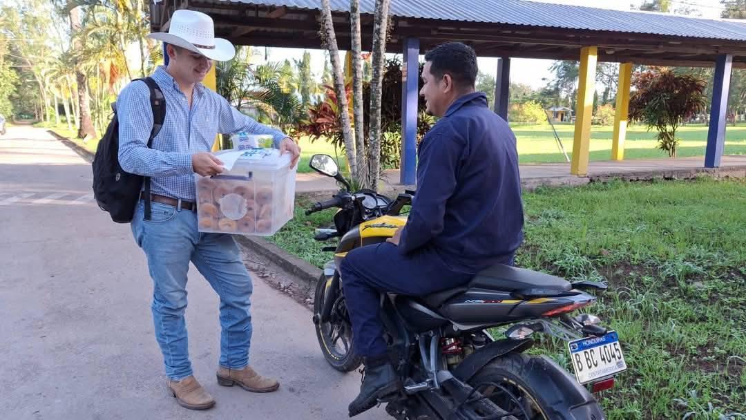 Vende donas en la universidad para costear sus estudios