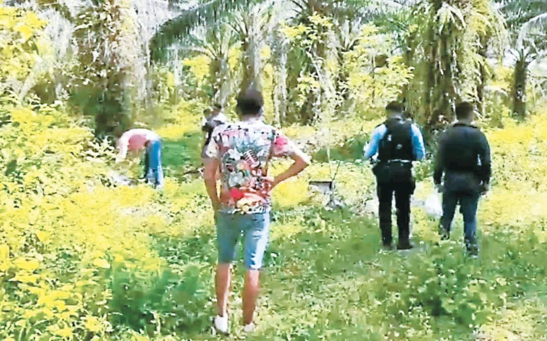 Alarma por desaparición de mujeres en Colón