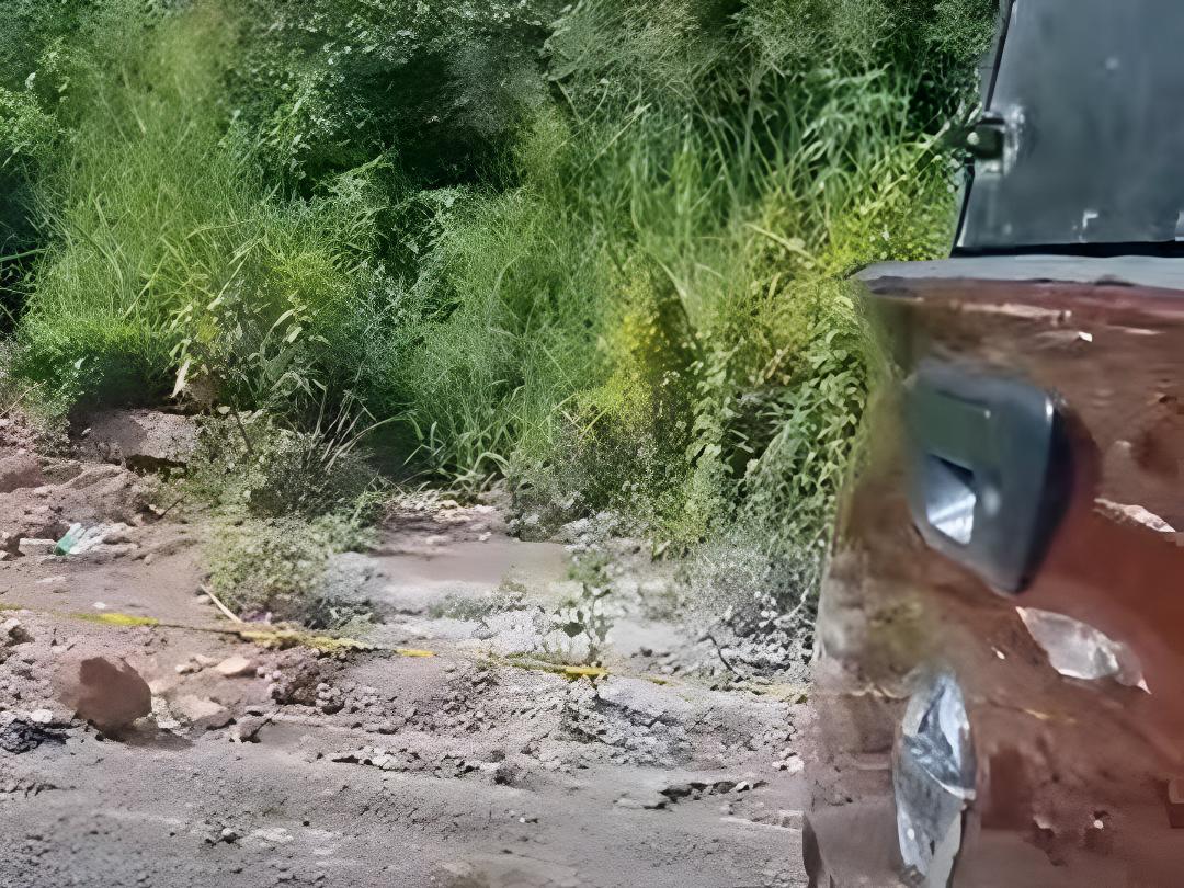 Astrid Carolina había desaparecido un día antes de ser hallada calcinada en Tatumbla