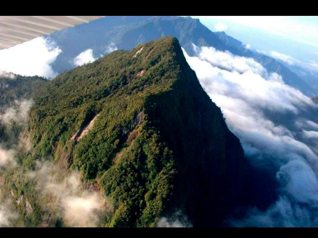 Parque Pico Bonito cuenta con nuevo plan de manejo