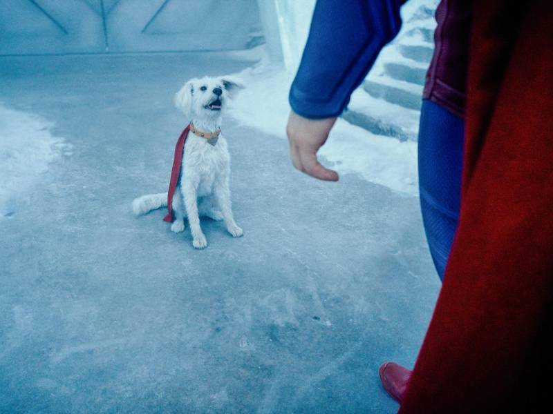 Krypto es generado por computadora, con base en un escaneo 3D de Ozu, el perro del director.