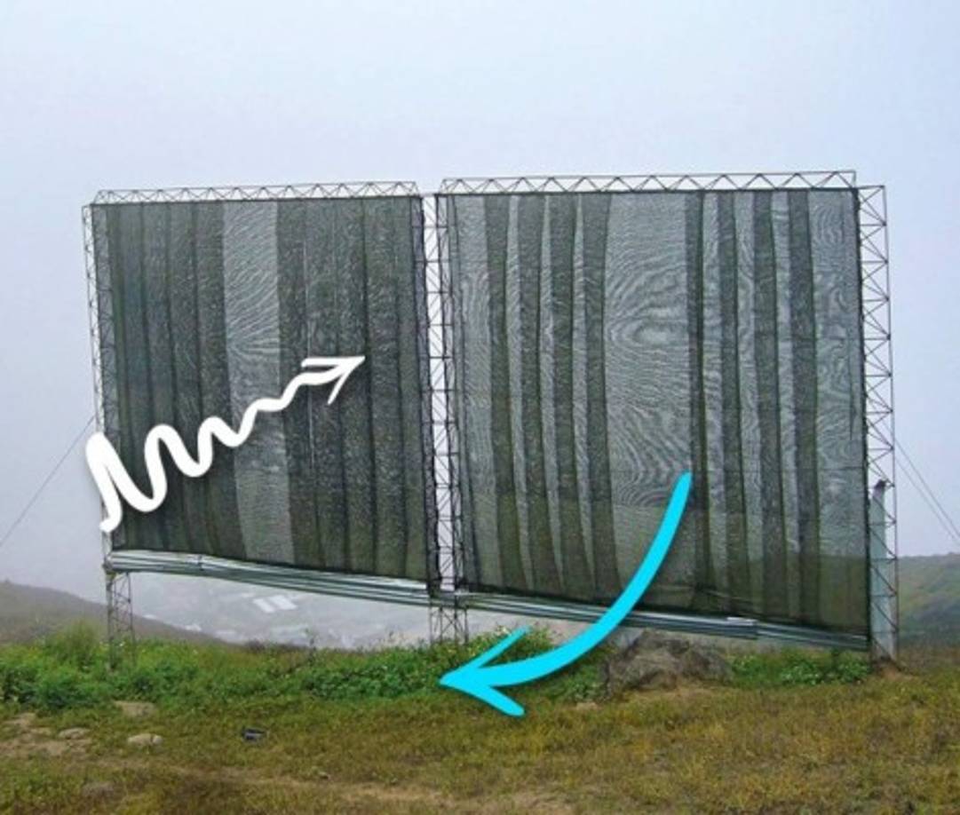 Esta habilidad inspiró a los ingenieros a crear un material que consigue la humedad del aire y provee de agua las regiones más secas. Al mismo tiempo, la tecnología sigue siendo muy barata.