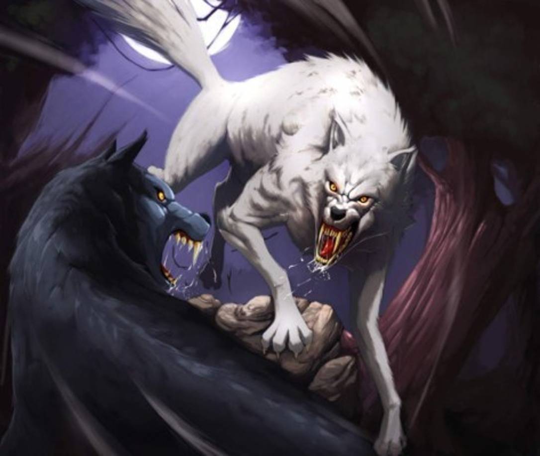 El perro negro se asocia con el mal y se cree que persigue a distancia a los caminantes nocturnos que vienen de fiestas, festivales, carnavales, sitos de juegos de azar y cantinas. <br/><br/>El cadejo blanco, en cambio,. es una animal bueno que protege y custodia a quienes se cruzan con el y no andan en vicios. <br/>