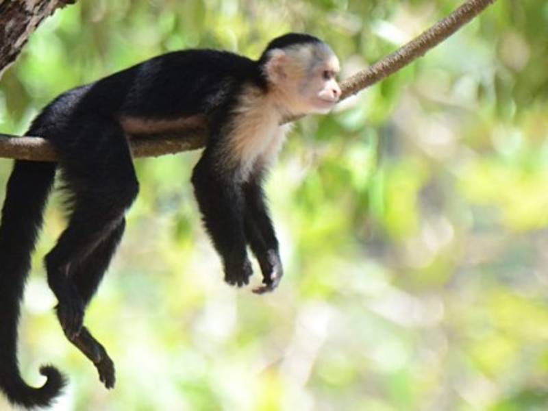 Costa Rico convirtió en el primer del mundo en lanzar una campaña contra los 'selfies crueles'.