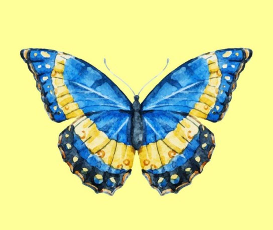 Si elegiste la mariposa 3: Eres un alma creativa<br/><br/>Eres el tipo de persona que ve la belleza en todo. Si bien muchas personas solo pueden ver una flor, tu puedes ver un entero universo a través de ella. Te gusta analizar todo, incluso cuando no tienes que hacerlo. Analizar las cosas es tu forma de entender la vida. Esto también te hace una persona muy lógica, y eso lleva a que la mayoría de las personas te vea como muy maduro.<br/><br/>En tu trabajo, te gusta la perfección y prefieres perder un plazo que entregar algo promedio a destiempo. Esto puede crear una adición al trabajo, pero no te molesta porque amas lo que haces por tu trabajo. Encuentras alegría en las cosas pequeñas, que significan mucho para ti, y tratas de ser claro con quienes tienen problemas para entenderte.