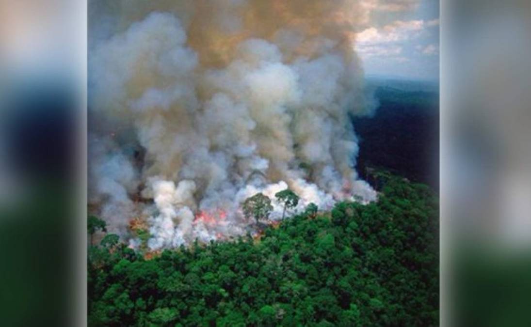 El Amazonas produce el 20 por ciento del oxígeno en la atmósfera terrestre.