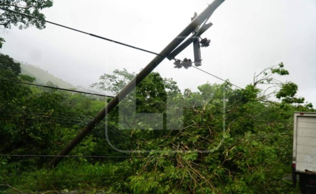 En las cercanías también se cayeron árboles, lo que obstruyó parcialmente el tránsito vehicular. Foto José Cantarero