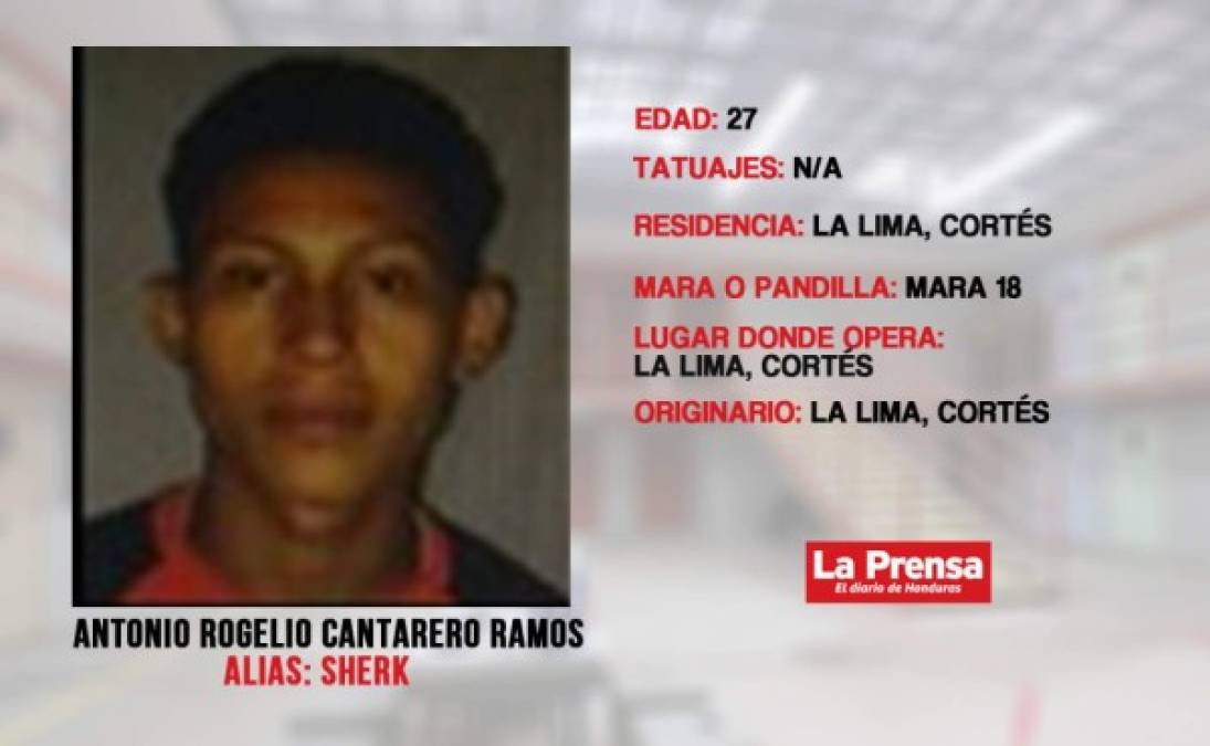 Sicario, roba vehículos, portación ilegal de armas, se dedica a la extorsión, también se le vincula con varios cuerpos que han sido encostalados.