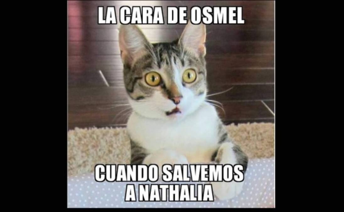 La cara de este gato se parece mucho a la de Osmel Sousa.