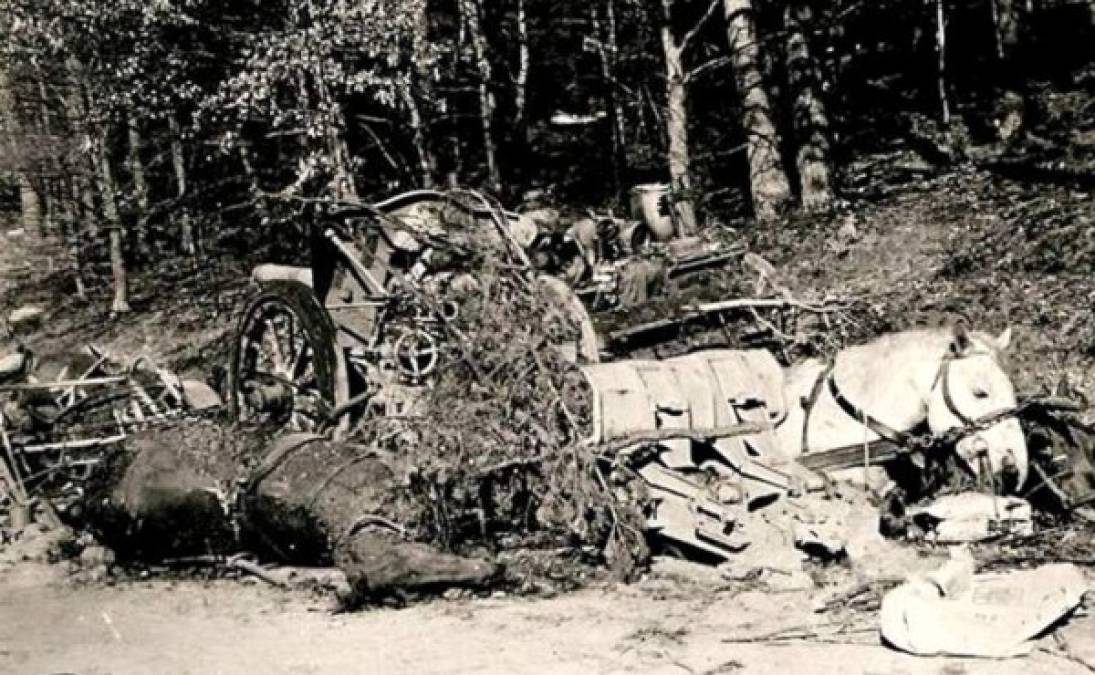 Caballos muertos y vehículos destruidos en Lug, Alemania, tras un ataque de artillería de los Estados Unidos. Los soldados nazis no lograron escapar.