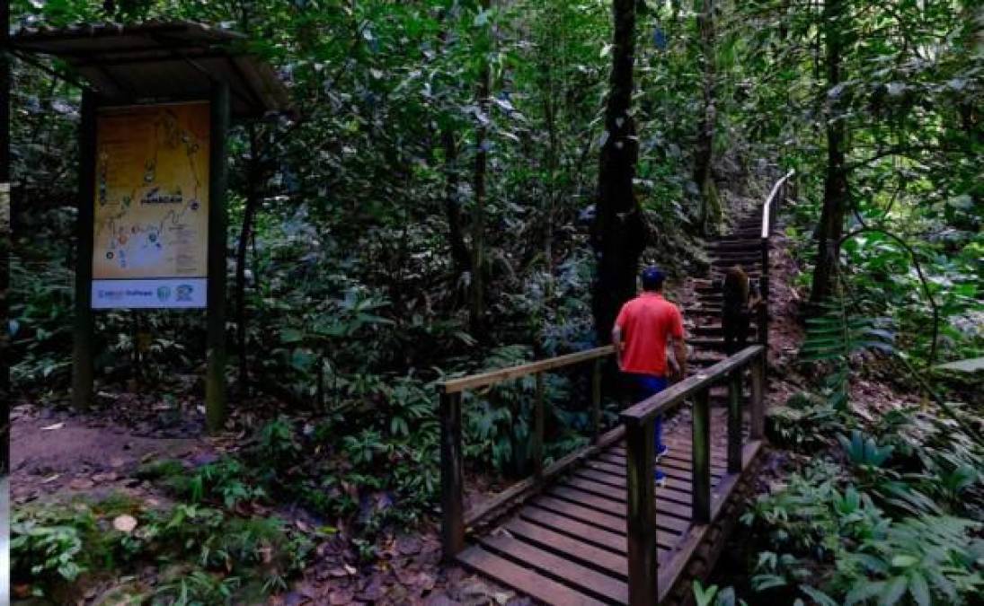 Además, cuenta con guías certificados para brindar tours y para que usted pueda apreciar las diferentes especies de aves y hacer senderismo.