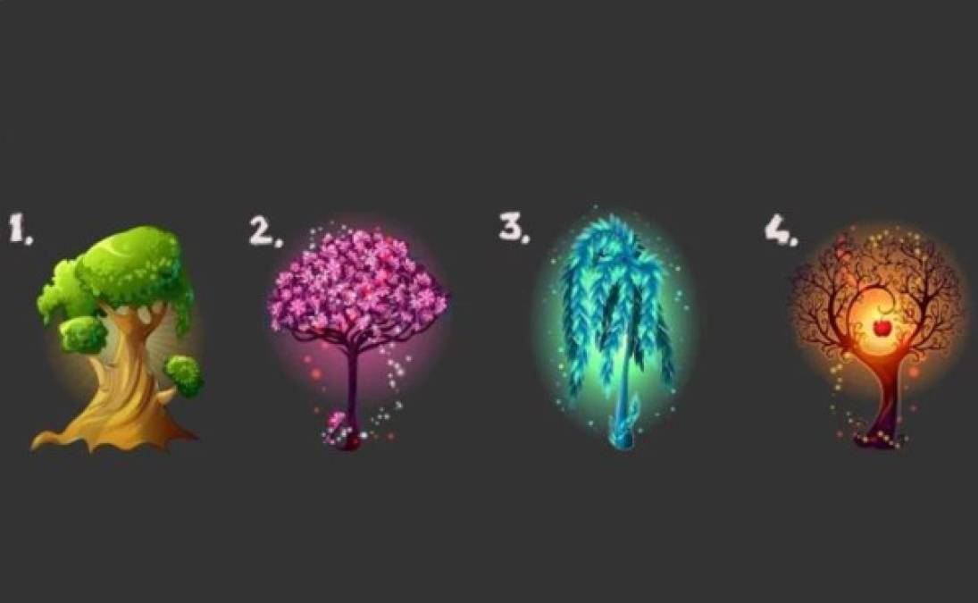 Te presentamos un nuevo test psiológico: ¿Qué árbol te atrae más?, tu elección revela algo de tu ser.