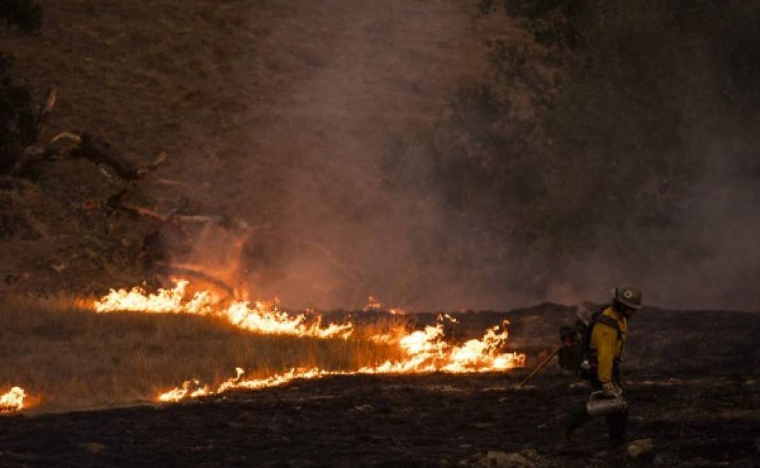 El gobernador Gavin Newsom declaró el viernes pasado el estado de emergencia para los condados de Sonoma y Los Ángeles, donde también lidian con el incendio Tick, que ya está controlado en un 65%.