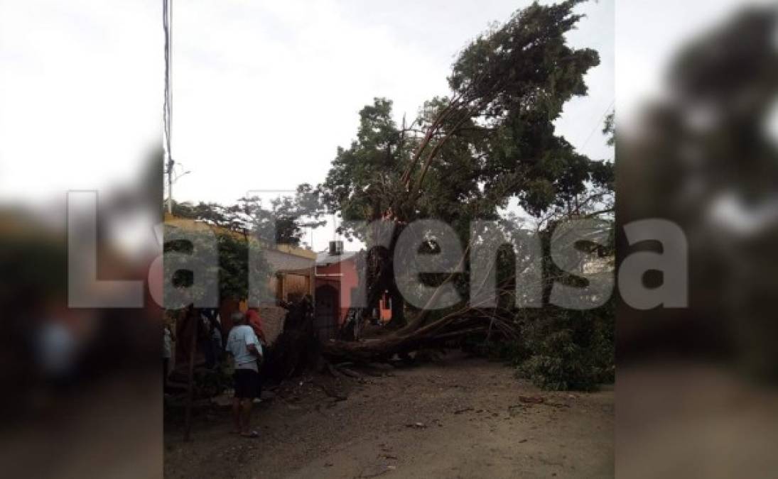 Familias damnificadas e inundaciones, los resultados de la tormenta en San Pedro Sula
