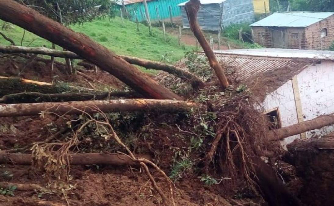 El mal clima sorprendió a cientos de pobladores de varias aldeas en Ocotepeque, dejando destrucción y varias familias damnificadas, informaron autoridades de la Comisión Permanente de Contingencias (Copeco).