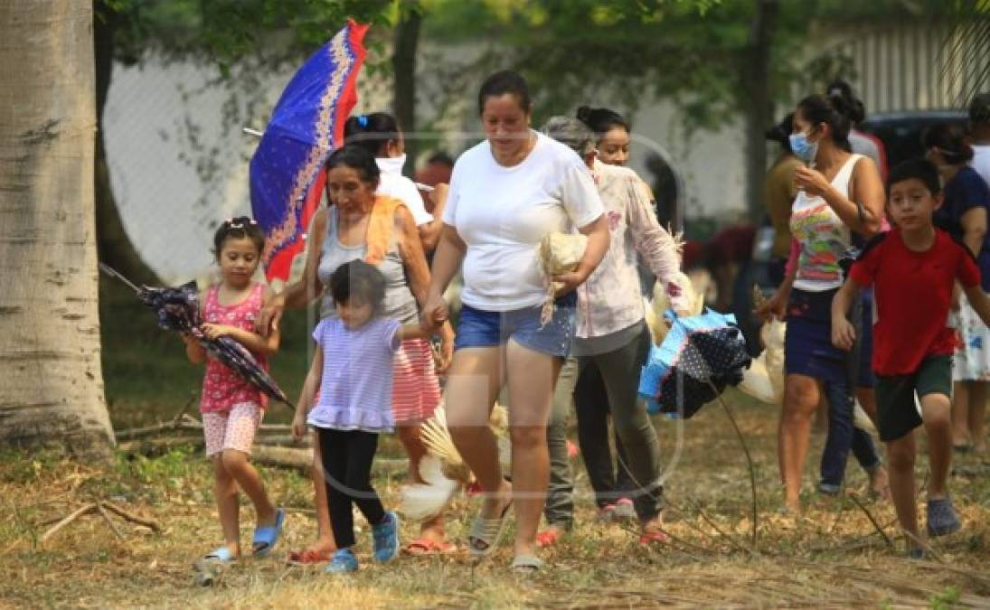 Con la entrega de las gallinas, más de 3,000 personas se ven beneficiadas con esta acción.