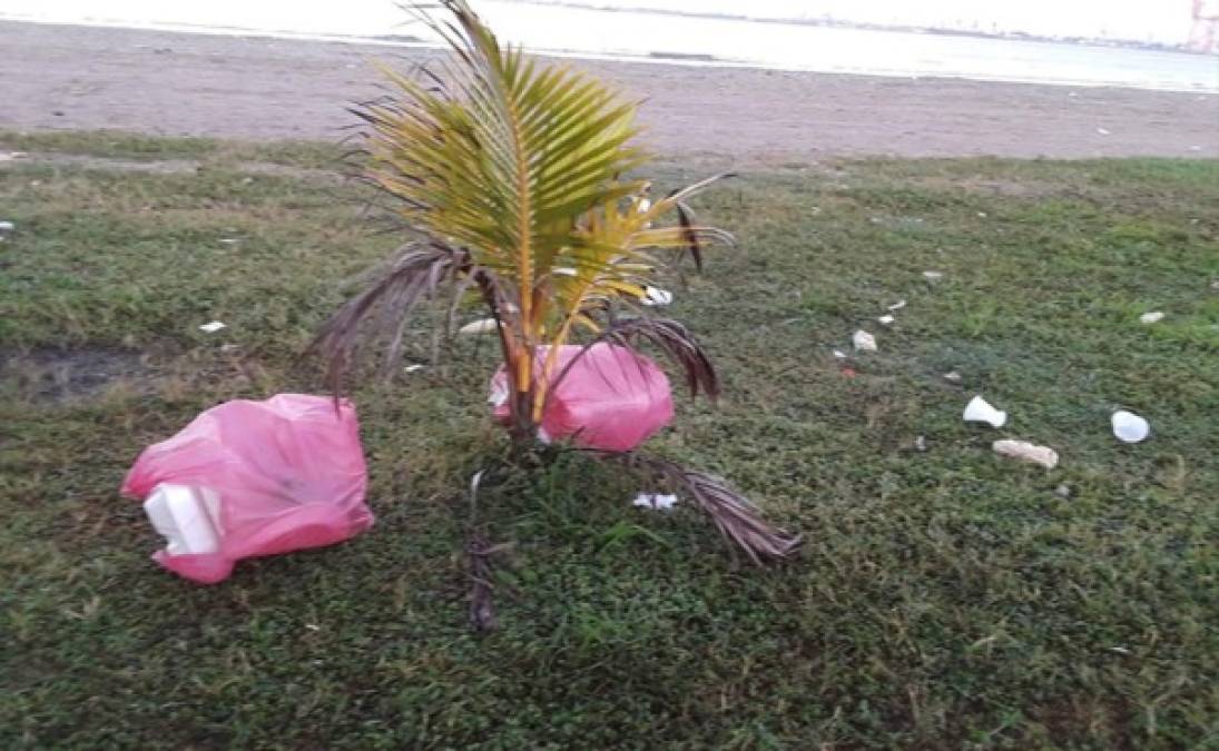 Los habitantes del sector pidieron a las autoridades locales tomar medidas al respecto.