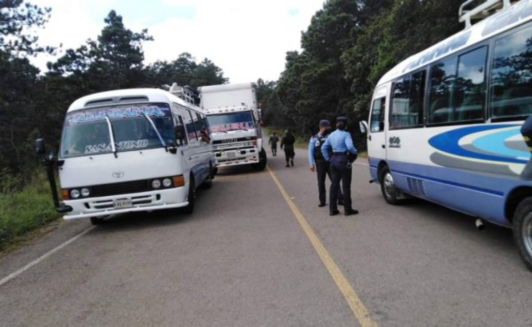 Para prevenir el transporte ilegal de madera, fauna y otros delitos comunes, instalan operativos en distintos sectores de Intibucá.