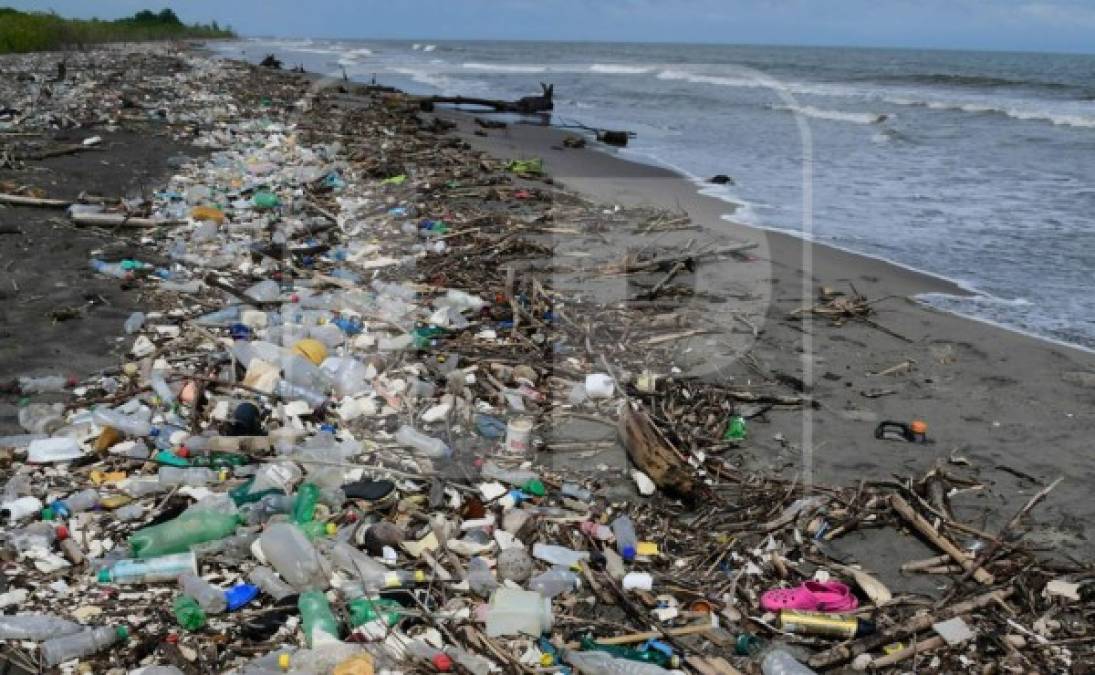 Las primeras cargas de contaminantes del río Motagua llegan a la barra en Honduras.