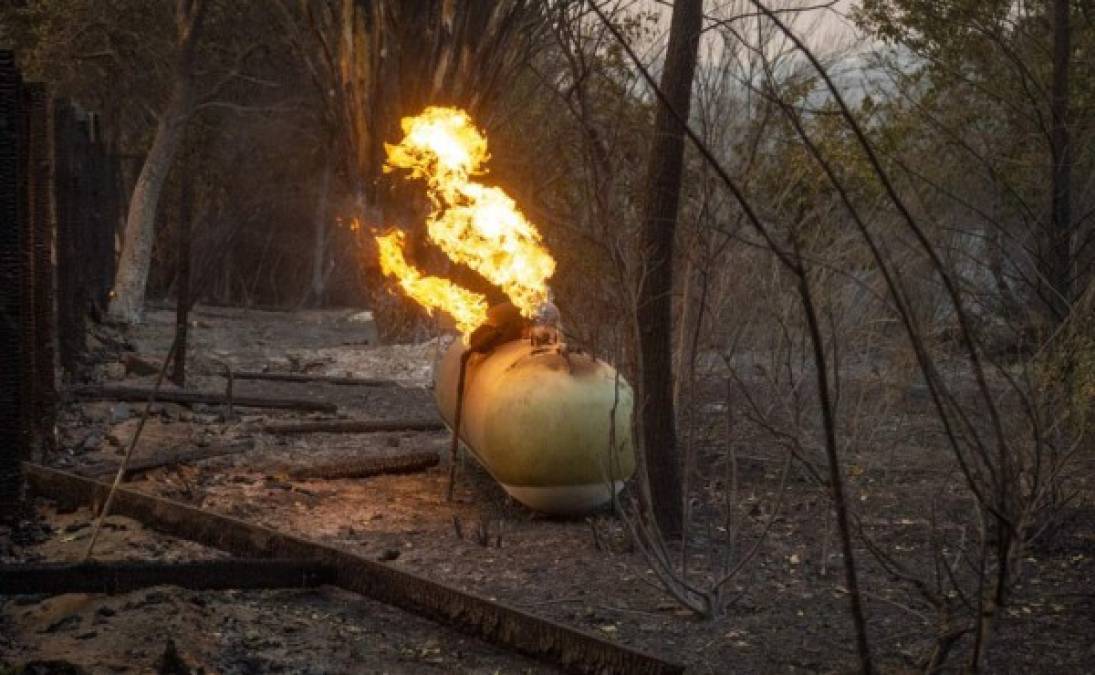 La labor de los bomberos ha sido cuesta arriba ya que los fuertes vientos no han cesado en la región desde hace varios días.