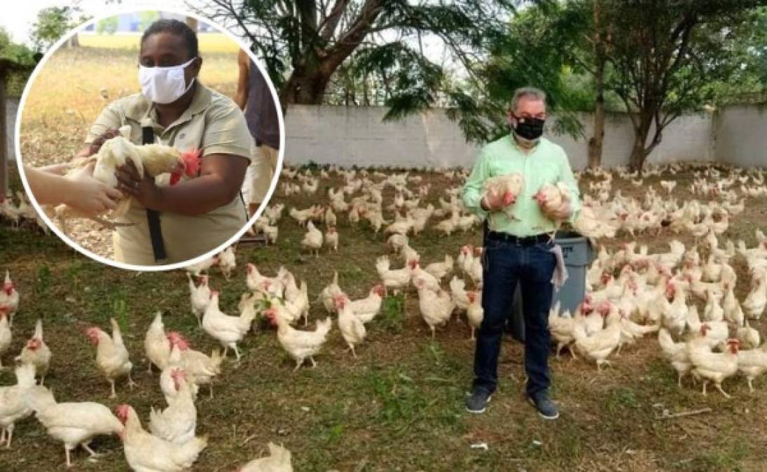 El empresario hondureño Roberto Contreras, dueño de los restaurantes Power Chicken, tuvo un lindo gesto con los pobladores de varias colonias de San Pedro Sula.