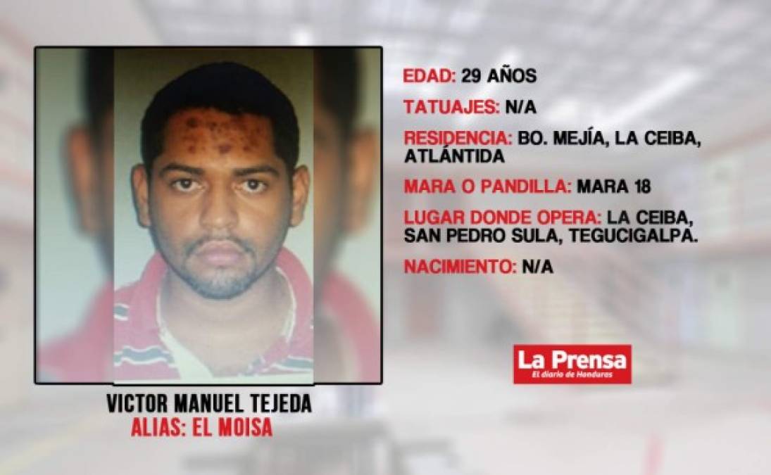 Víctor Manuel Tejeda Cruz, alias El Moisa, es encargado de la extorsión en La Ceiba, Tegucigalpa, San Pedro Sula. También es responsable de la muerte de los conductores de la empresa Mirna Express, y se le asocia con el secuestro y asesinato de un empresario en la ciudad de La Ceiba, Atlántida.