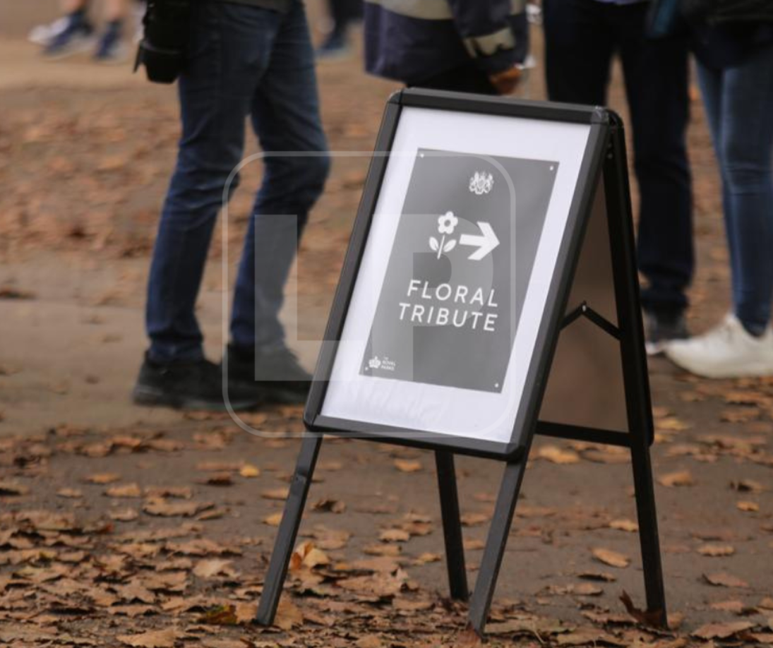 Multitudes han llegado a adornar las puertas del Palacio con sus ramos. 
