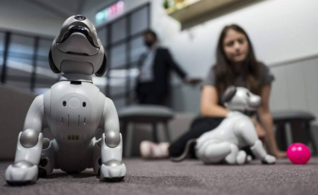 El perro robot de Sony, 'Aibo', volvió con fuerza este año con un diseño mejorado.