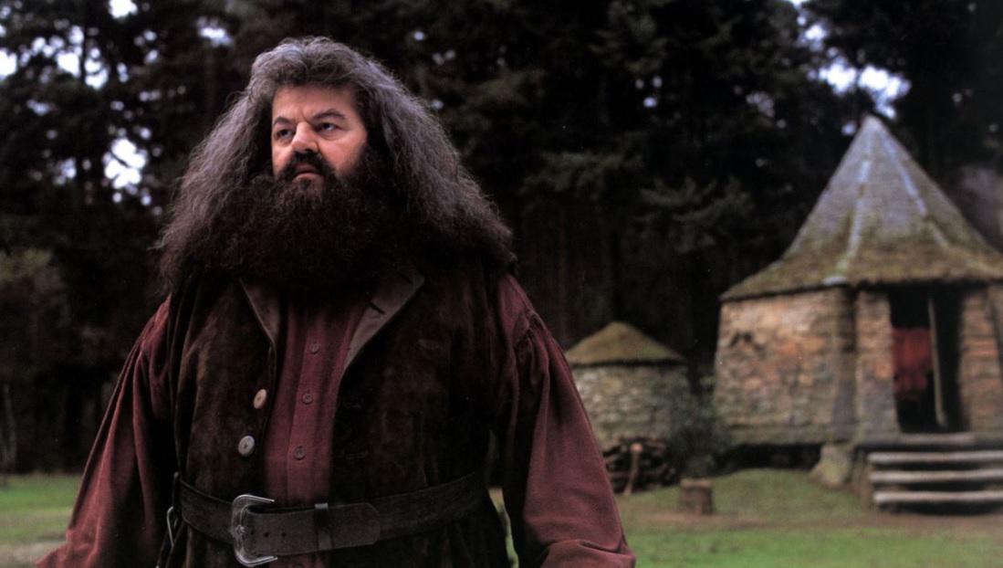 Robbie Coltrane murió de seis condiciones, incluida insuficiencia orgánica