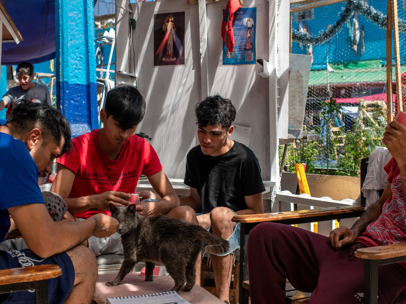 Un gato se une a un juego de cartas con reos en una sección de baja seguridad de la prisión principal de Santiago de Chile.
